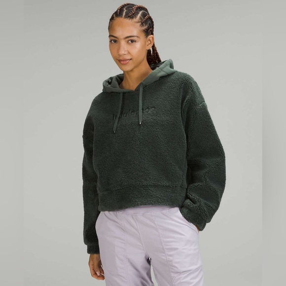 lululemon athletica Tops - Lululemon Textured Fleece Embroidered
Logo Hoodie Smoked Spruce